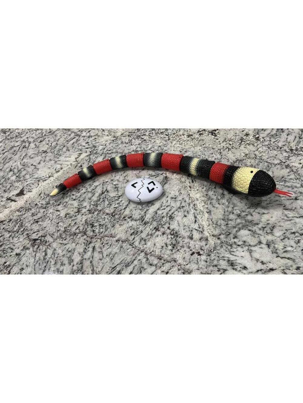 Discovery Kids Toy Remote Control King Snake, Works, Robotic Snake